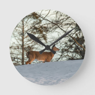 White Tailed Deer Round Clock