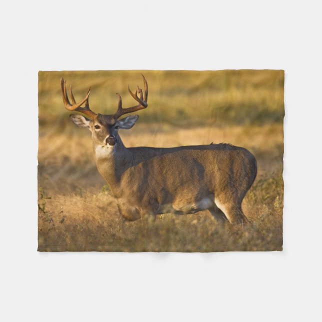White-tailed Deer | South Texas Fleece Blanket (Front (Horizontal))