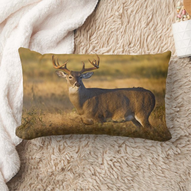 White-tailed Deer | South Texas Lumbar Pillow (Blanket)