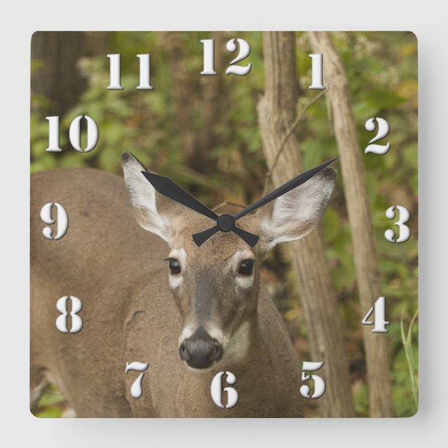 White Tailed Deer Square Wall Clock (Front)