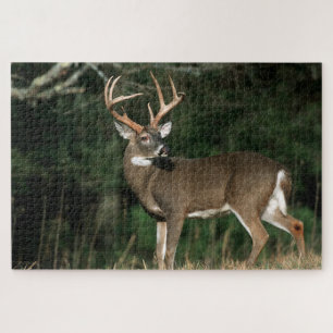White-tailed Deer   Tennessee Jigsaw Puzzle