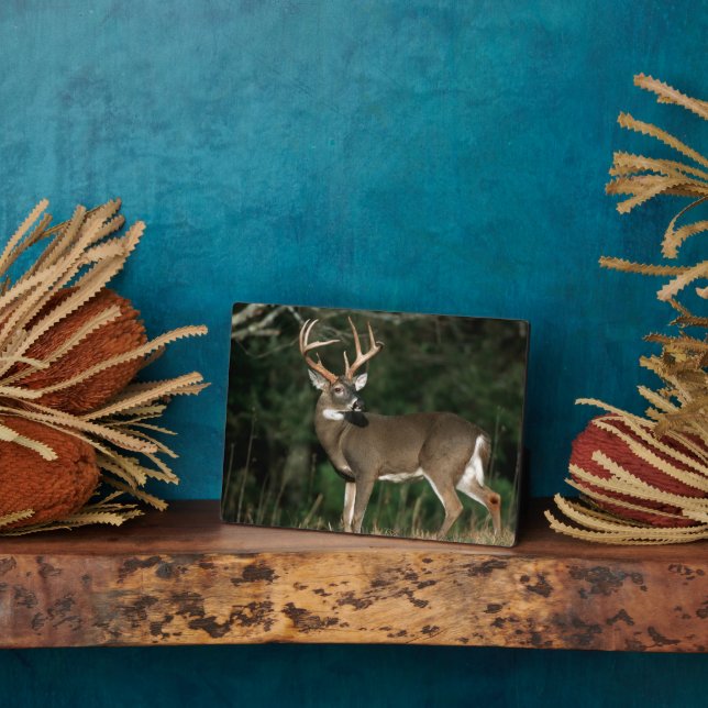 White-tailed Deer | Tennessee Plaque (Side)