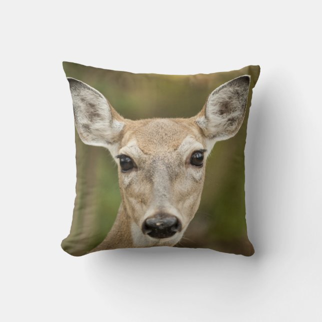 White Tailed Deer Throw Pillow (Front)