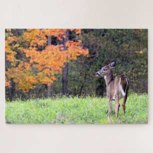 White Tailed Deer Up Close Jigsaw Puzzle