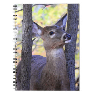 White Tailed Deer Up Close Notebook