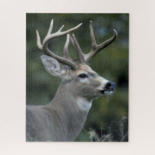 White-tailed Deer   Washington State Jigsaw Puzzle