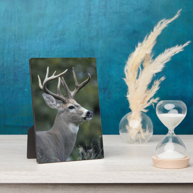 White-tailed Deer | Washington State Plaque (Side)