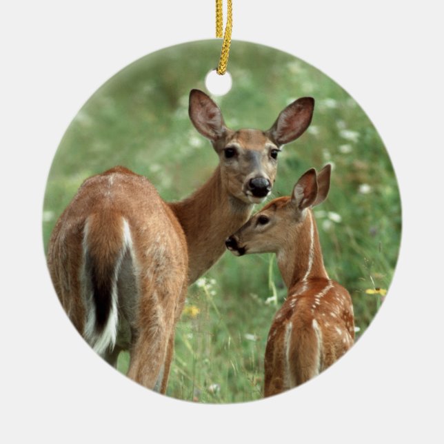 White-tailed Deer with Her Fawn Ceramic Ornament (Front)