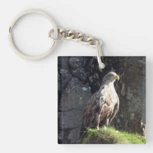 White Tailed Eagle on Rock Keychain