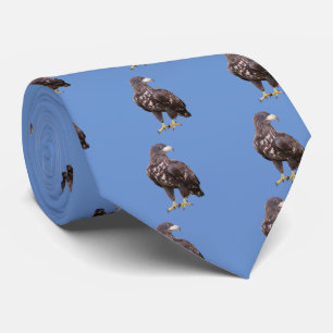 White-tailed eagle tie