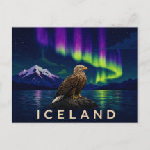 White-Tailed Eagle Under the Aurora | Iconic Icela