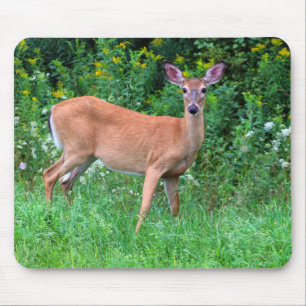 White Tailed Female Deer Mouse Pad