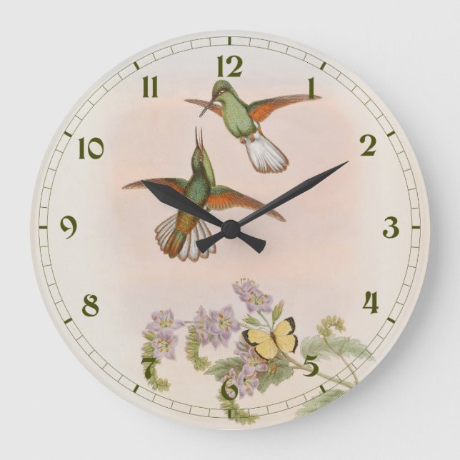 White-tailed Hummingbird (Eupherusa poliocerca) Large Clock (Front)