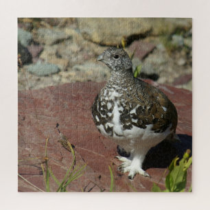 White-tailed Ptarmigan - 676 piece Jigsaw Puzzle