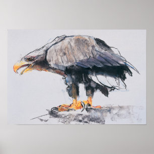 White tailed Sea Eagle 2001 Poster