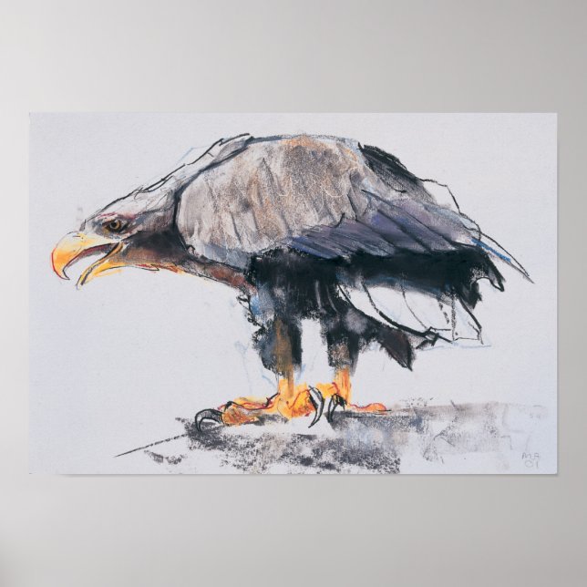 White tailed Sea Eagle 2001 Poster (Front)
