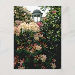 white Temple among flowers - Kew Gardens, England Postcard