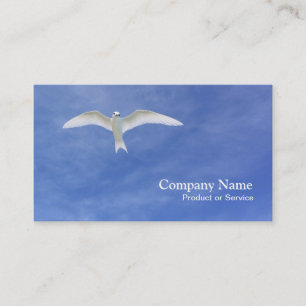 White tern business card