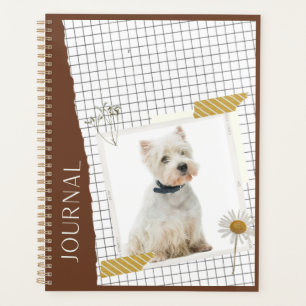 White terrier de l'Ouest  