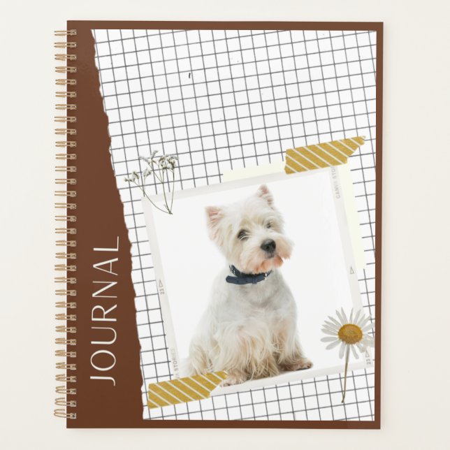 White terrier de l'Ouest   (Devant)