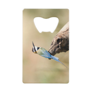 White throated Bee-eater Credit Card Bottle Opener