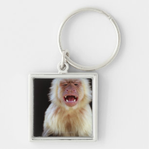 White-throated capuchin (Cebus capucinus) Keychain