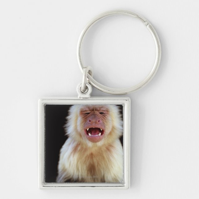 White-throated capuchin (Cebus capucinus) Keychain (Front)