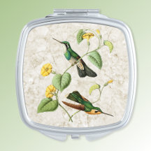 White Throated Mountain Hummingbird Compact Mirror