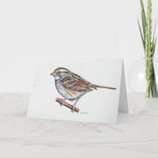White-throated Sparrow Art Card
