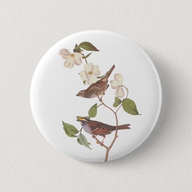 White-Throated Sparrow Audubon Bird in Dogwood 2 Inch Round Button (Front)
