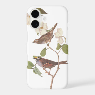 White-Throated Sparrow Audubon Birds in Dogwood
