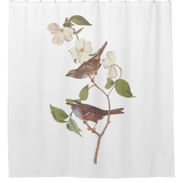 White Throated Sparrow Audubon Birds with Flowers (Front)