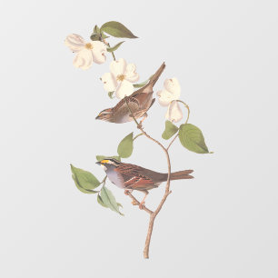 White Throated Sparrow Audubon Birds with Flowers  Window Cling