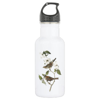 White-throated Sparrow by Audubon 532 Ml Water Bottle