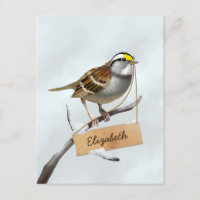 White Throated Sparrow Customize Name