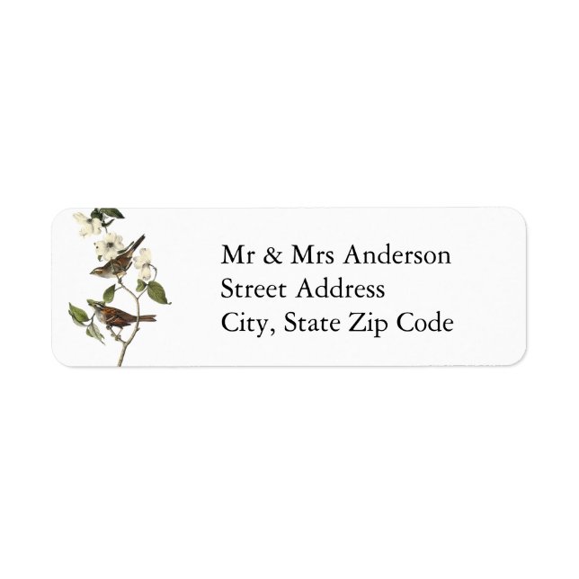 White-throated Sparrow - John Audubon (Front)