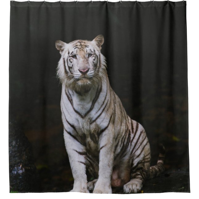 WHITE TIGER (Front)
