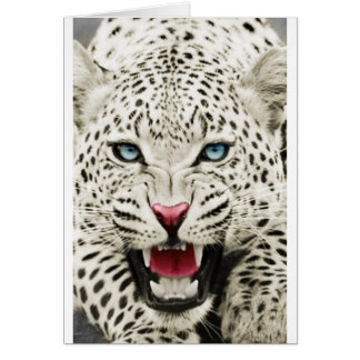 white tiger
