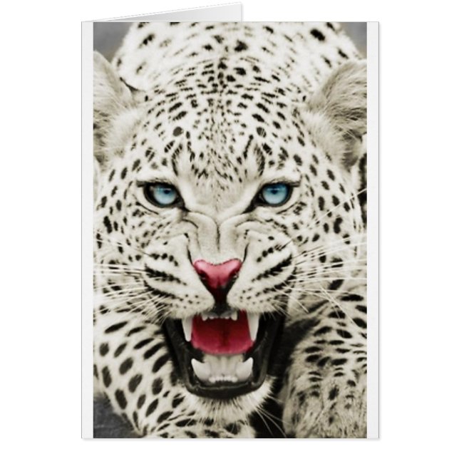 white tiger (Front)