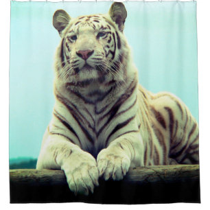 White Tiger