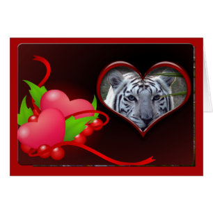 white-tiger-00102-65x45