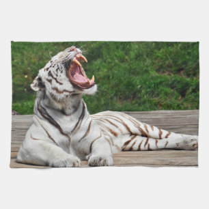 White Tiger, Bengal Tiger Kitchen Towel