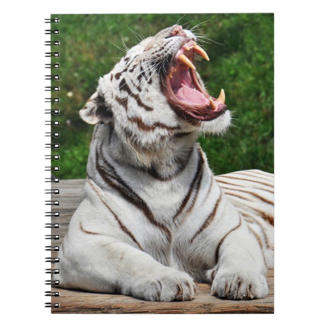 White Tiger, Bengal Tiger Notebook (Front)