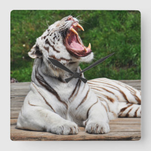 White Tiger, Bengal Tiger Wall Clock
