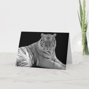 White tiger Birthday Greeting Card
