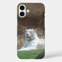 White Tiger