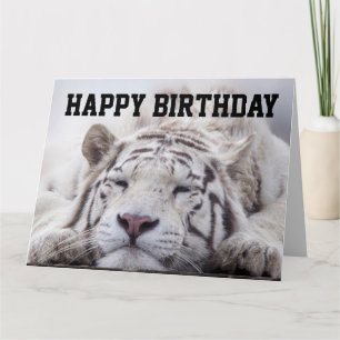 WHITE TIGER CAT NAP, EAT CAKE, BIRTHDAY CARD