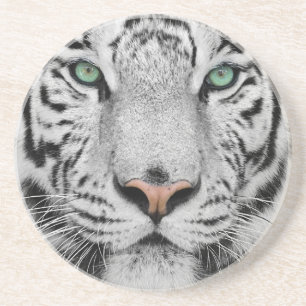 White Tiger Coaster