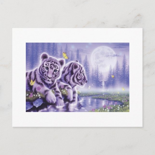 White Tiger Cubs Postcard (Front)