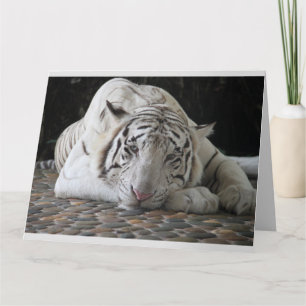 WHITE TIGER CUTE BIRTHDAY CARDS BIG CARD